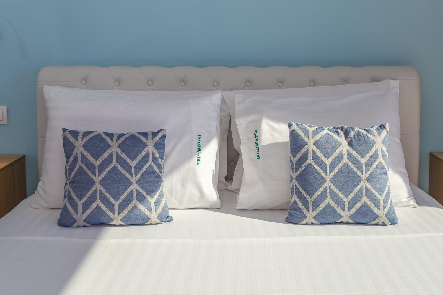 Olive And Aloe Villas Nomikiana Екстер'єр фото